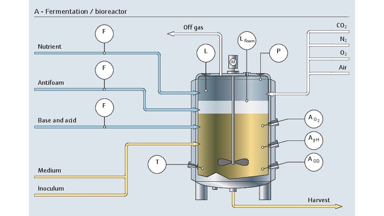 Opstrøms-fermenteringsprocessen i en bioreaktor med alle dens relevante målepunkter