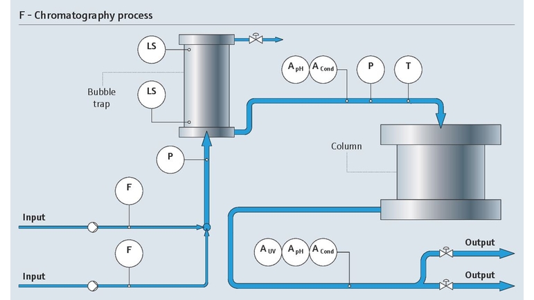 Nedstrøms-kromatografiprocessen med dens relevante målepunkter