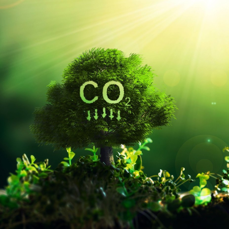 Fangst, lagring og anvendelse af CO2 (CCUS)