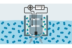 Princip for amferometrisk måling af oxygen med referenceelektrode Princip for amferometrisk måling af oxygen med referenceelektrode