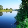 Environmental protection