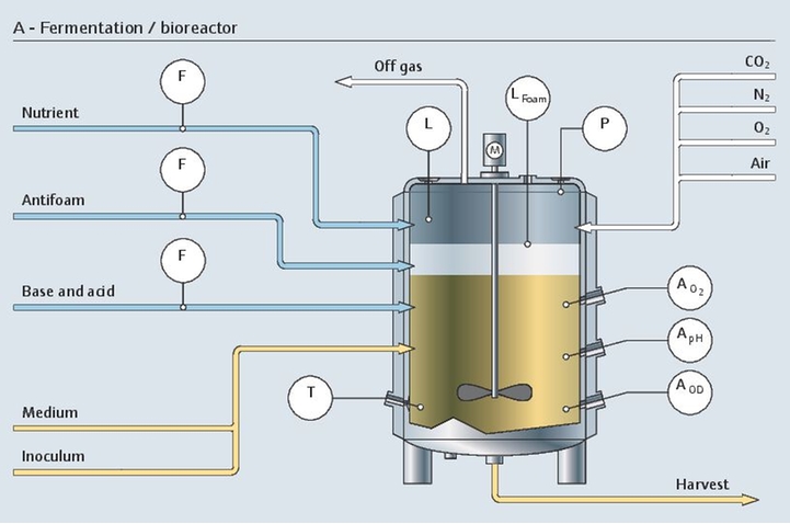 The upstream fermentation process in a bioreactor with all its relevant measurement points