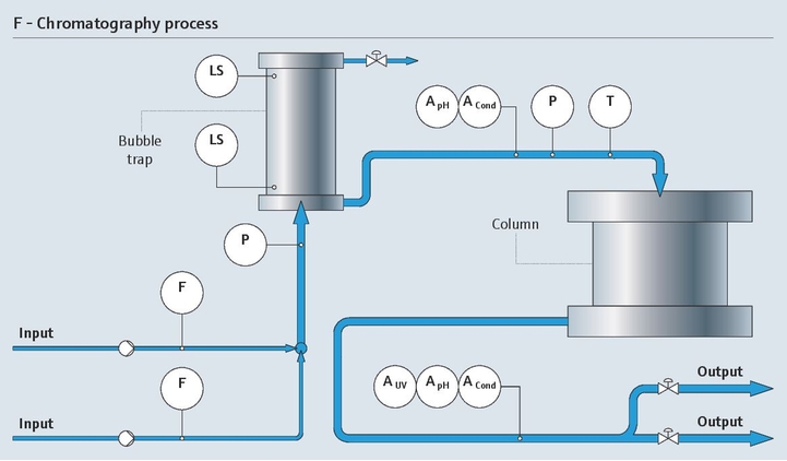 The downstream chromatography process with its relevant measurement points