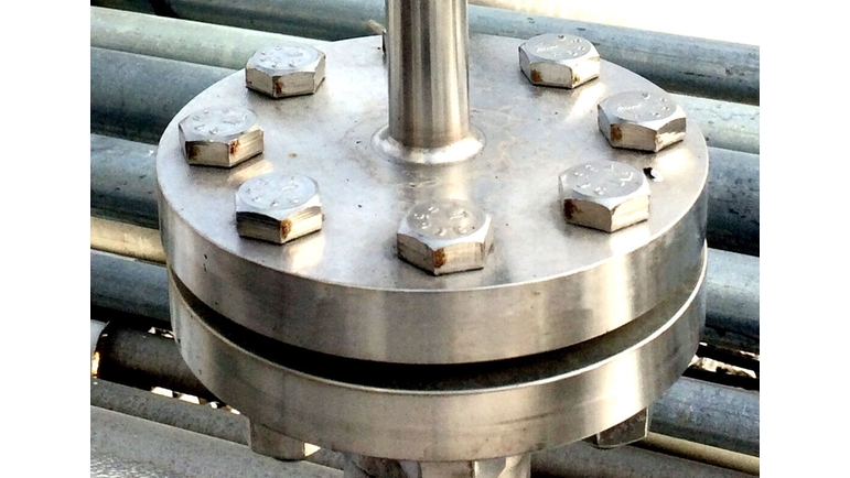 Flange for Raman LNG probe