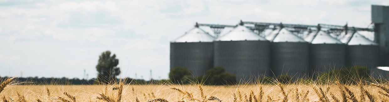 Et anlæg inden for agroindustrien til lagring af fødevarer i lagringstanke, bulksiloer