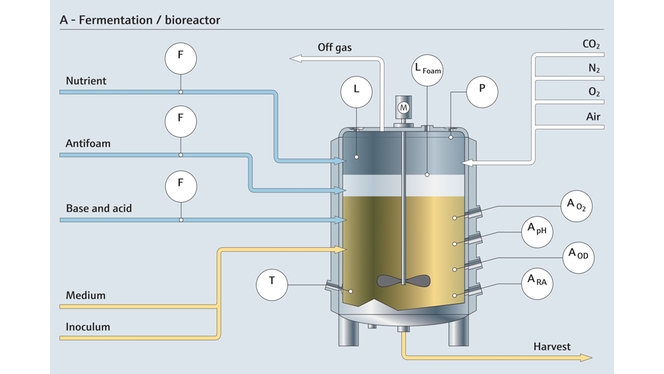 Fermentering i en bioreaktor og de relaterede målepunkter